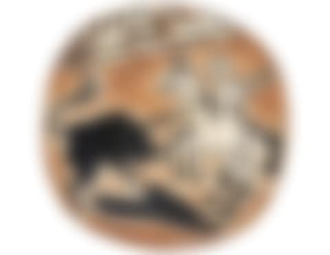 Picador et taureau (A.R. 438) (preview)
