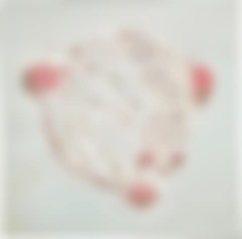 Fungus (preview)