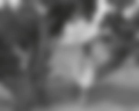 Untitled Film Still #43 (preview)