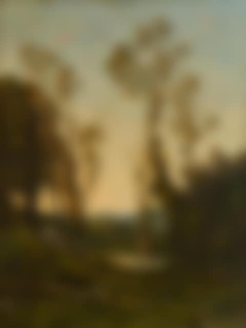 A wooded landscape (preview)