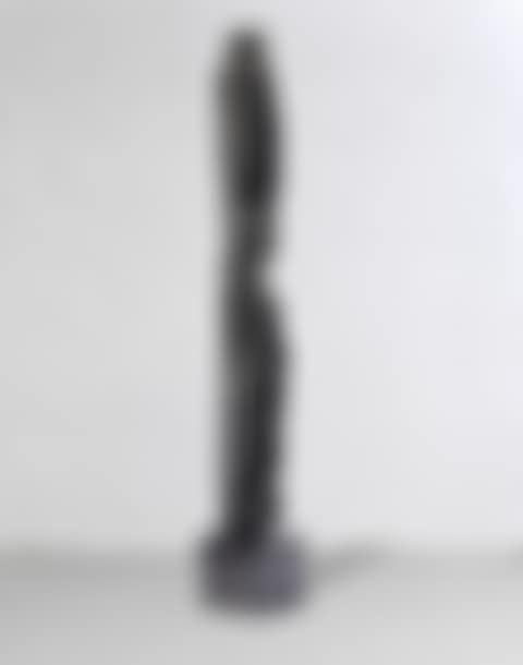 Rain Forest Column XVIII (preview)