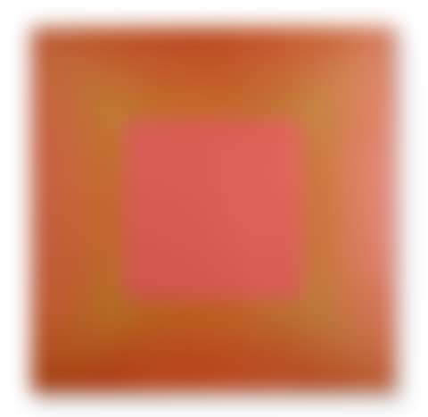 Gold Edged Rose Square (preview)