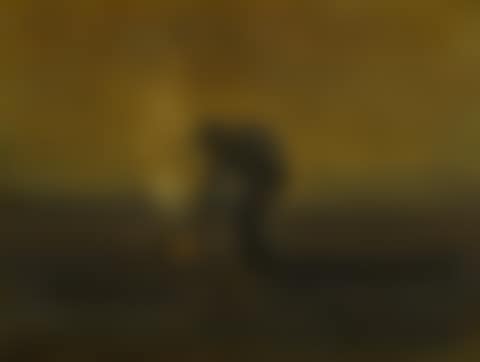 PAYSAN BRÛLANT DE MAUVAISES HERBES (preview)