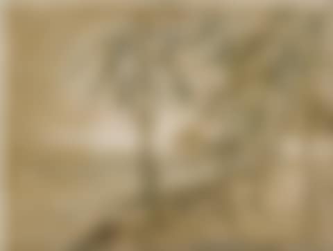 COCOTEROS (preview)