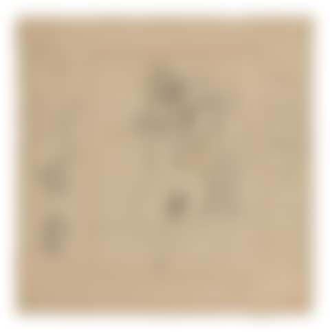 FMR (preview)