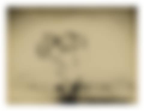 EL HOMBRE NO HACE MÁS QUE ENTRAR (MAN DOES NOTHING BUT ENTER) (preview)