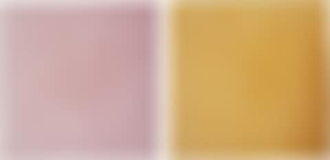 PATHETIC FALLACY SERIES: TREMULOUS PINK; YEARNING YELLOW (preview)