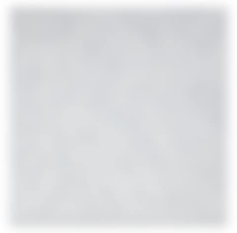 WHITE NETS (HWTOQ) (preview)