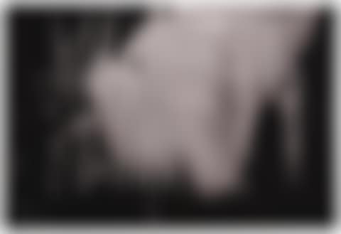 UNTITLED POZ 186 (preview)
