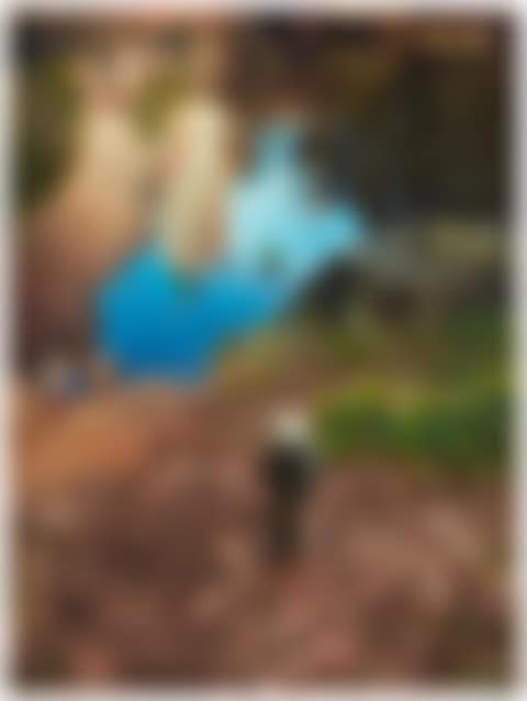 COMPACT 4 (preview)