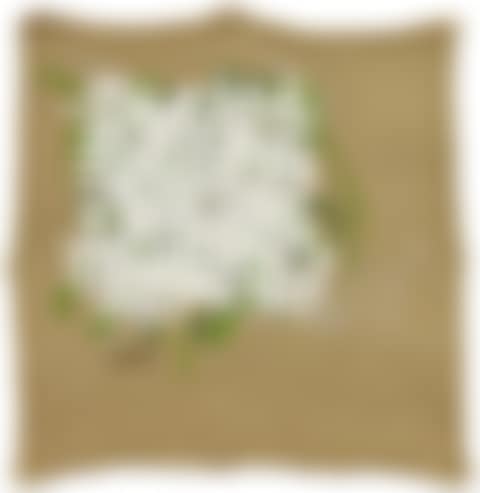 UNTITLED (preview)