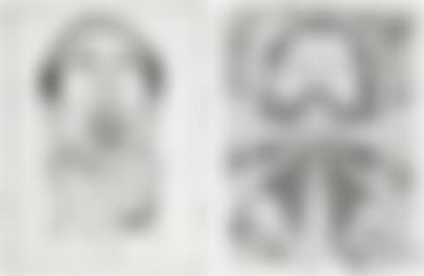 ALPHABET AND BEE-BEARD (preview)