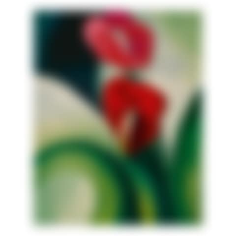 ANTHURIUM (preview)