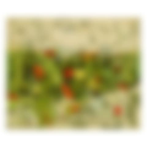 LANDSCAPE (preview)