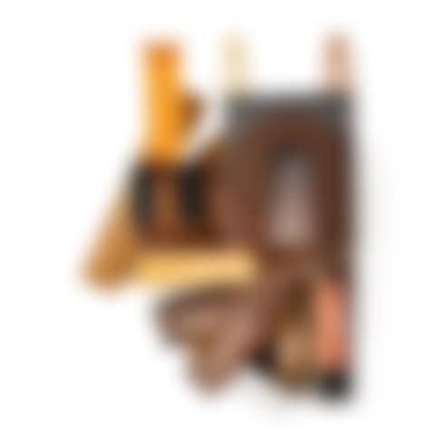 ORANGE STILL LIFE WITH MAGNET AND NO (preview)