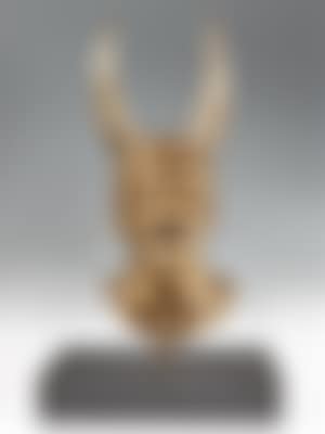 Chapitre IV (preview)