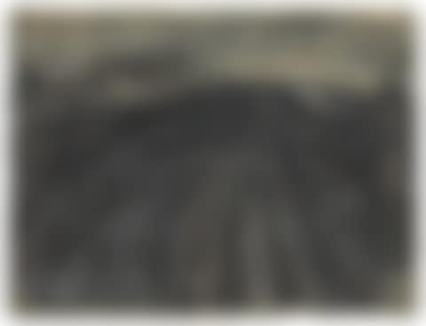 WILLESDEN JUNCTION (preview)