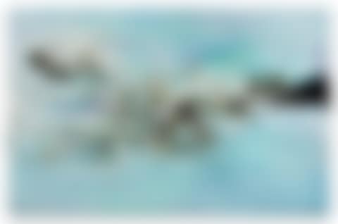 22.8.69 - 2.10.75 (preview)