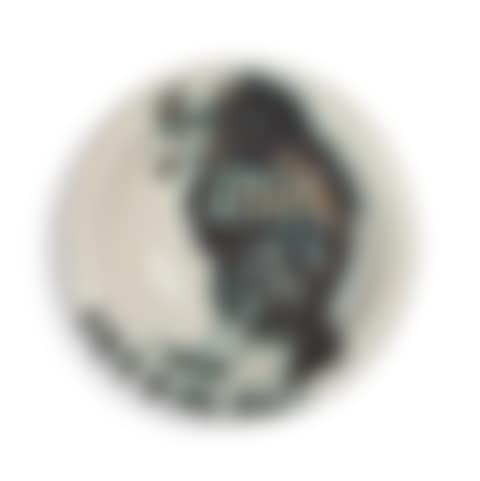 OISEAU AU VER (A. R. 172) (preview)