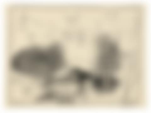 TAUREAUX, BÉLIERS ET OISEAUX (B. 1344; M. 21) (preview)