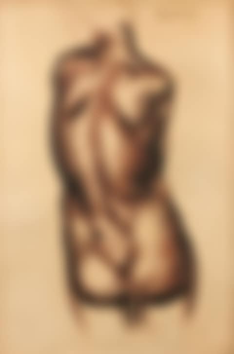 Female nude from behind (preview)