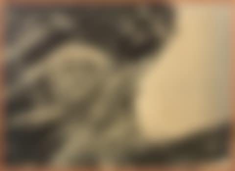 PHLEGETON BERTINIFERE (preview)
