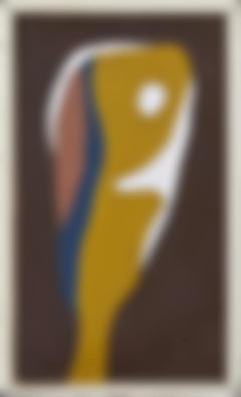 Head Reflecting in a Mirror, Eye, Nose, Wrinkle (preview)