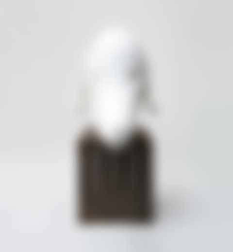 The Prototype of the Head of Morioka Pup (preview)