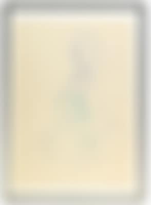 "Joseph Beuys and Lisa Marie Presley" (preview)