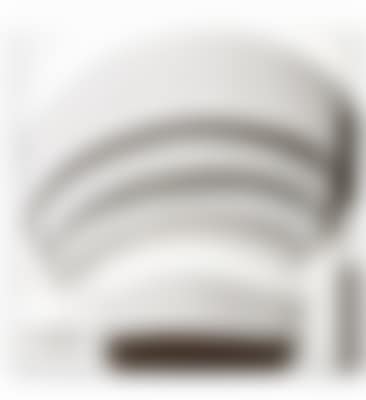 Guggenheim Museum (White) (preview)