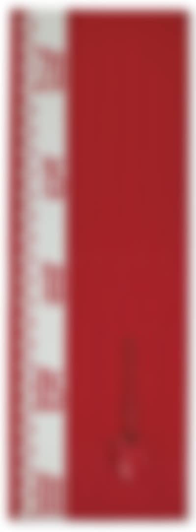 Mur PVC 1000 (preview)