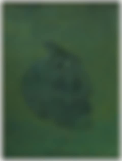 Skull with Frog (preview)