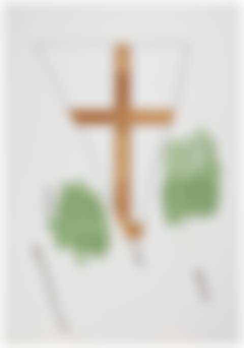 Picture (preview)