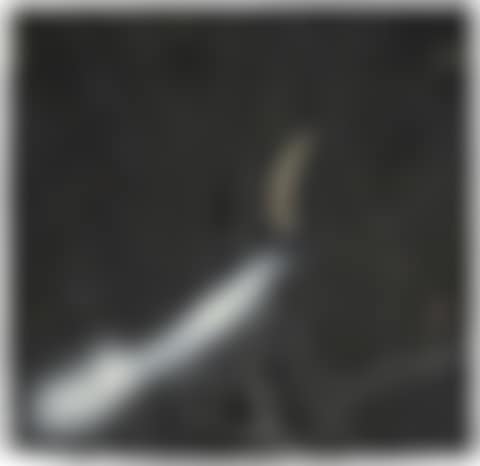 Ivory (preview)