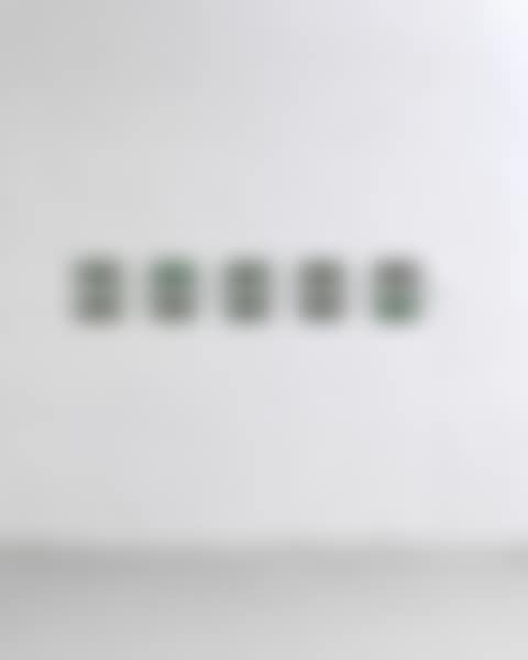 Opposite Level 10 units No. 50263 (preview)