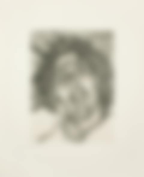 Solicitor's Head (Figura 62) (preview)