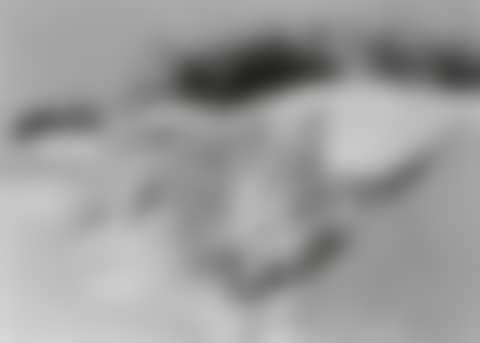 Untitled (Winterlandschaft) (preview)
