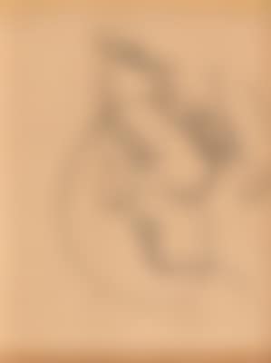 Visage (preview)