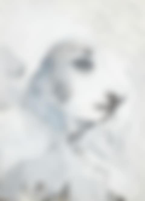 Woman (from the Half Moon Bay Series) (preview)