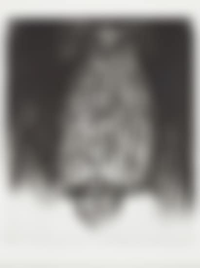 Owl (preview)