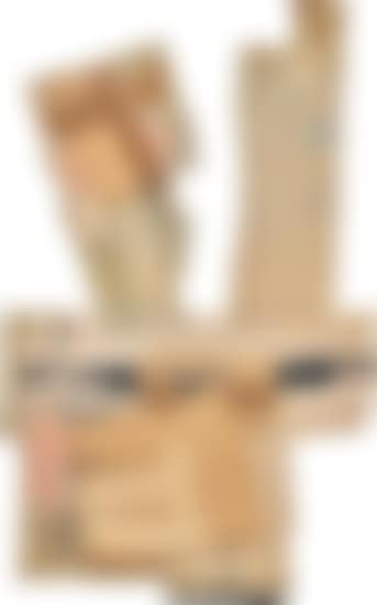 Cardbird II, from Cardbird Series (preview)