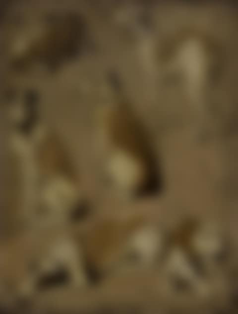 SEVERAL STUDIES OF A DOG, PROBABLY A GREYHOUND (preview)