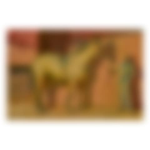 MY HORSE ANARCHIST (preview)