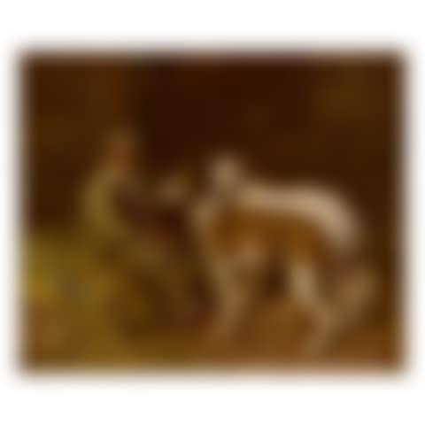 SHRIMP IN THE BARN WITH LURCHERS (preview)