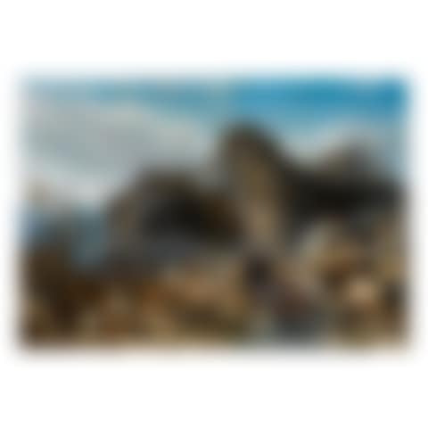 NOAH'S ARK (preview)