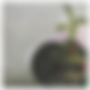 Untitled (preview)