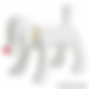 DOGGY RADIO (preview)