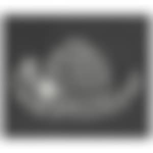 Hat-S (Kusama 19) (preview)