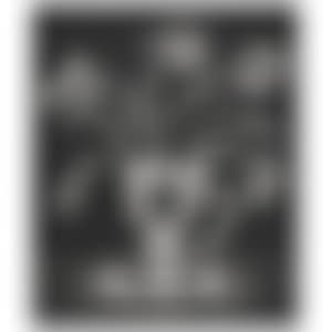 Flowers BH (Kusama 176) (preview)