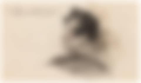TÊTE D'HOMME, PROFIL (preview)